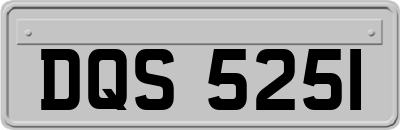 DQS5251