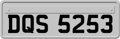 DQS5253