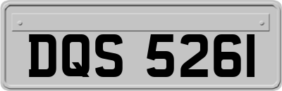 DQS5261