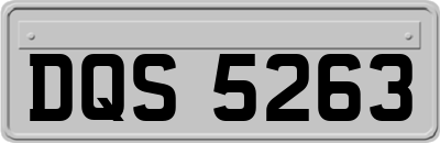 DQS5263