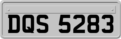 DQS5283