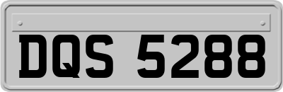 DQS5288