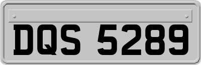 DQS5289