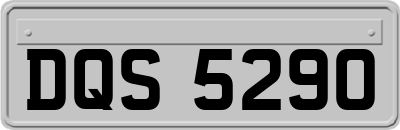 DQS5290