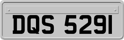 DQS5291