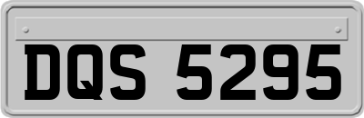 DQS5295