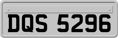 DQS5296