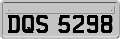 DQS5298