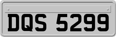 DQS5299