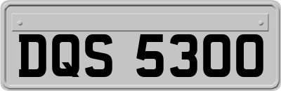 DQS5300