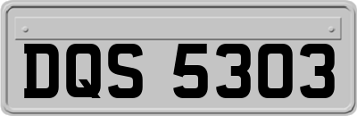 DQS5303