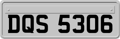 DQS5306