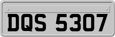 DQS5307