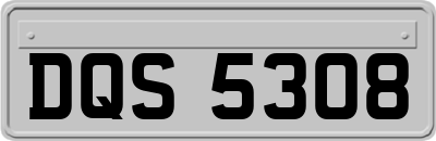 DQS5308