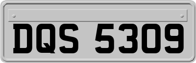 DQS5309