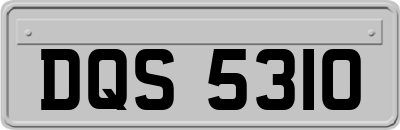 DQS5310
