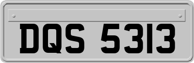 DQS5313