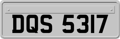 DQS5317