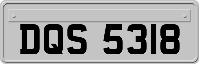 DQS5318