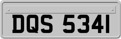 DQS5341
