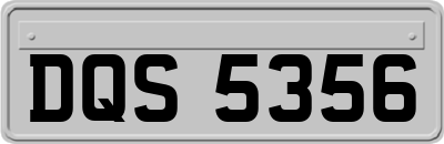 DQS5356