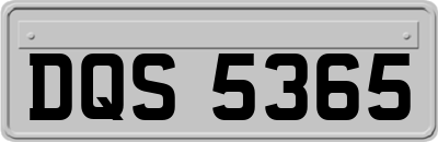 DQS5365