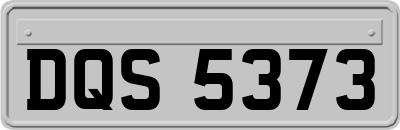 DQS5373