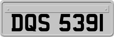 DQS5391