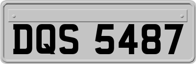 DQS5487