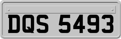 DQS5493