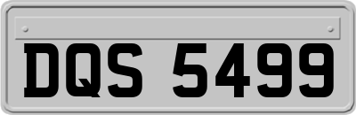 DQS5499
