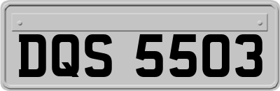 DQS5503