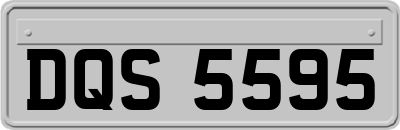 DQS5595