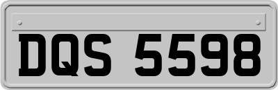 DQS5598