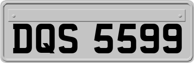 DQS5599