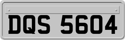 DQS5604