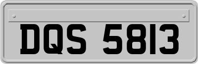 DQS5813