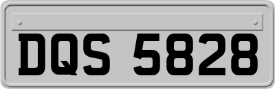DQS5828