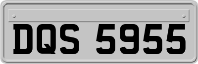 DQS5955