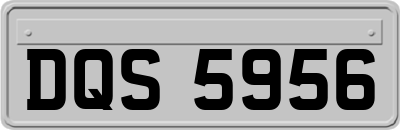DQS5956