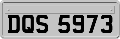 DQS5973