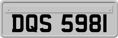 DQS5981