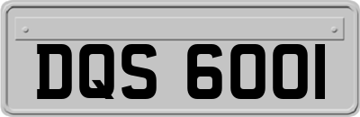 DQS6001