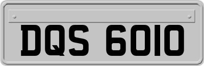 DQS6010