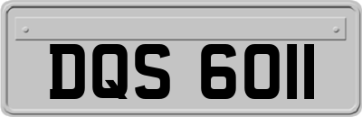 DQS6011
