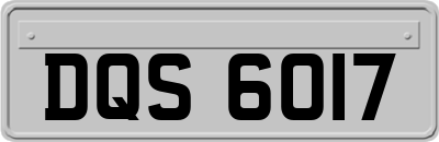 DQS6017