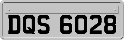 DQS6028