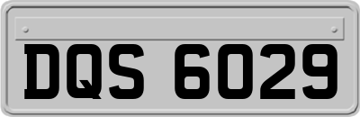 DQS6029