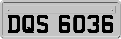 DQS6036