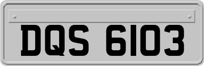 DQS6103
